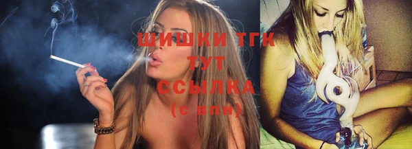 гашиш Богданович