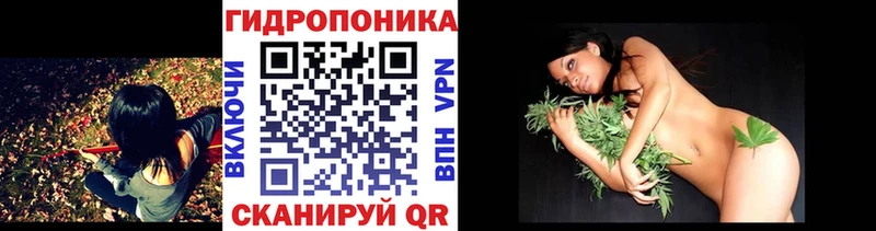 darknet как зайти Ногинск МАРИХУАНА марихуана omg как зайти
